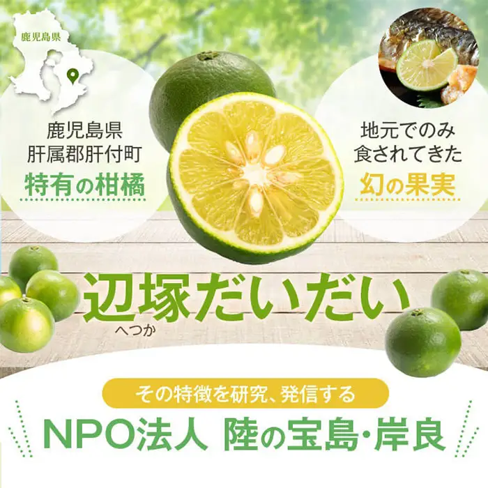 辺塚だいだい 青果 2kg 鹿児島 国産 橙 柑橘 果物 フルーツ【NPO法人 陸の宝島・岸良】P20001