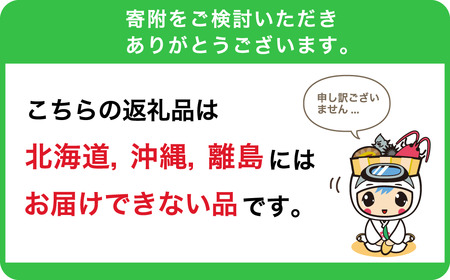 訳あり 伊勢エビ 加熱用 数量限定 一口 伊勢えび 80～100g程度 8尾 傷 天然 活締め 冷凍 個包装 伊勢海老 イセエビ えび エビ 海老 mi0014-0010