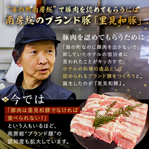房総ブランド豚　里見和豚　とんかつ用ロースブロック800g真空パック　白色トレイ不使用 400g×2 mi0017-0013-2