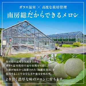 【TVで紹介！】千葉アクアメロン(マスクメロン)2玉【まとめてお届け】 mi0018-0003