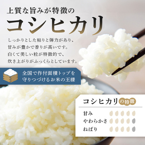 【2023年産】環境保全型コシヒカリ 白米　4.5kg mi0036-0013