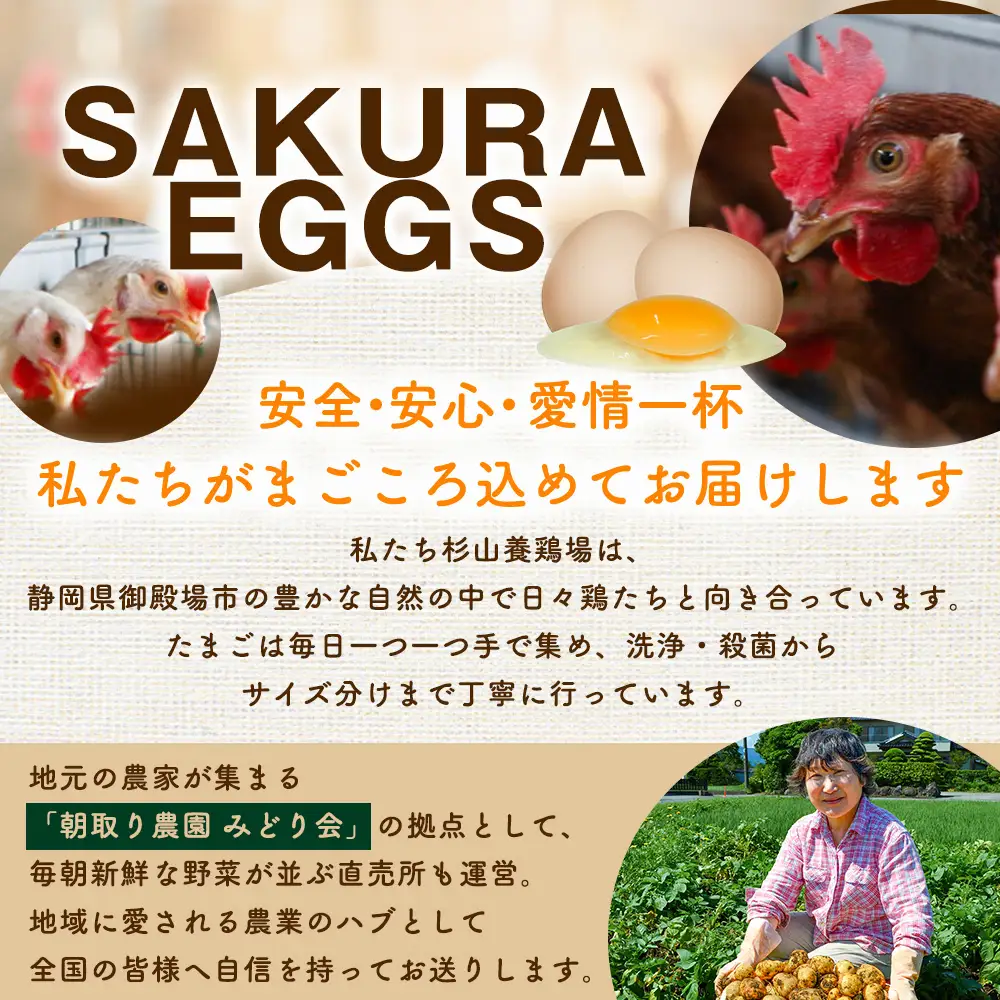 純国産鶏さくらちゃんが産んだ桜色のさくら玉子の五分咲き60個◇