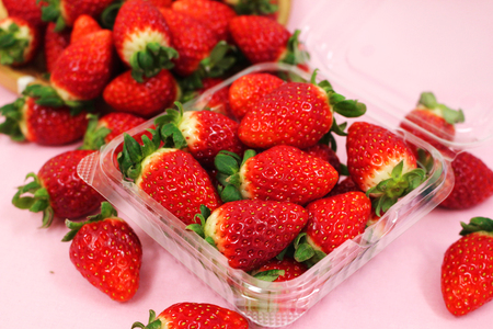 【南房総市産】お百姓市場の完熟冷凍いちご（削りタイプ）1kg（250g×4袋） mi0047-0002