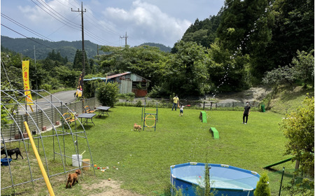 犬同伴可の貸切手ぶらBBQ ペアチケット mi0063-0001