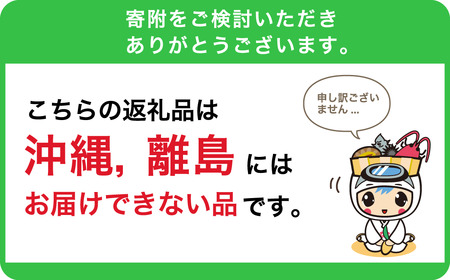 冷やして食べる冷やし焼きいも　1kg（5～8本） mi0065-0004