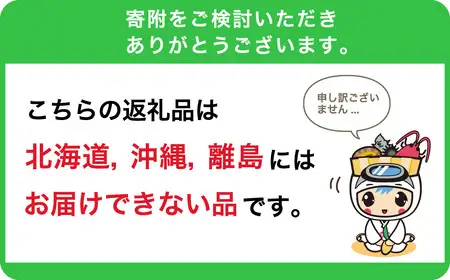 南房総産季節の生花2回定期便（2月：ダリア12本、7月：ひまわり20本） 花 植物 季節 ﾌﾗﾜｰ 花束 切り花 mi0070-0004