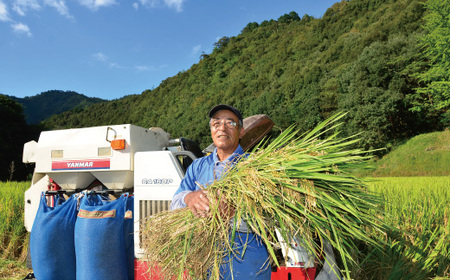 24-990．【令和6年産新米・早期受付】四万十市の中山間地域の里山で育まれる貴重なお米「しまんとのお米（ヒノヒカリ）」5kg【2024年11月中旬より順次発送】