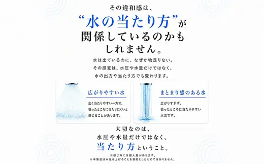 【20086】 ビューク シャワーヘッド シンプルの研究 ドリームバンク マイクロ ナノバブル オーバル水流 beaq ミスト 岐阜大学と共同研究 保温 保湿 頭皮 洗顔 増圧 高水圧 低水圧 水圧 節水 節水シャワー タイパ コスパ シャワー スキンケア ヘアケア お風呂 SPA プレゼント 贈り物 ギフト