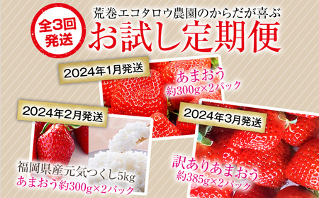 荒巻エコタロウ農園のからだが喜ぶお試し定期便(2025年1月～3月発送)　BJ07