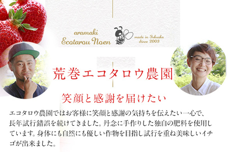 荒巻エコタロウ農園のぜいたく定期便（あまおう約300g×3回）【2026年2月～3月】　BJ08