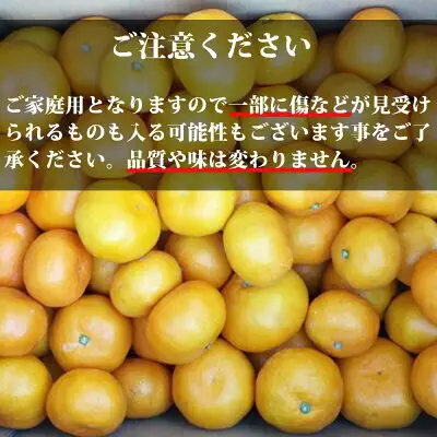 【2026年先行予約】ご家庭用　有田みかん 約7kg (2L、3Lサイズ)【湯浅町】_AT6315