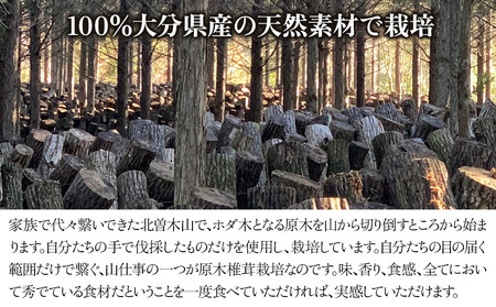 特大 原木生椎茸 400g×2 | きのこ しいたけ 原木栽培 生しいたけ どんこ 大分県産 九州産 国産 大分県 中津市