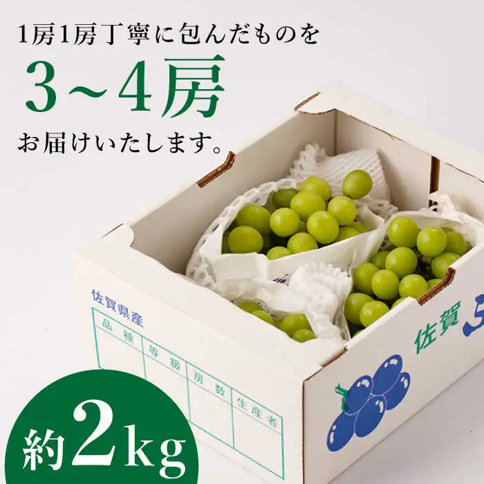シャインマスカット 約2kg 九州産シャインマスカット /菓子工房ピュアハート [UDF002]