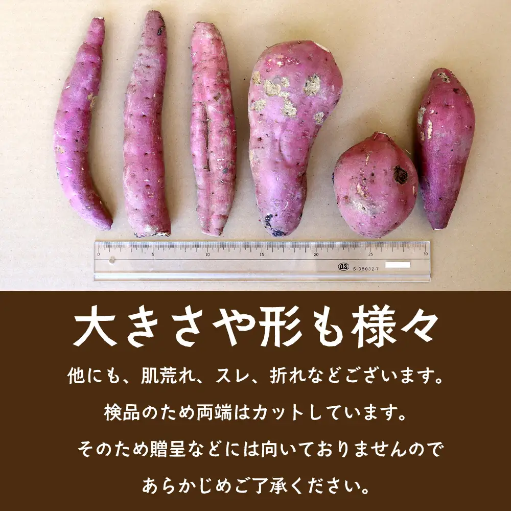 【訳あり！】【先行予約：9月中旬配送～】掘りたて さつまいも 紅はるか 10kg (自宅で簡単レシピ付き）FR-208 | 秋の味覚 2026年秋収穫 サイズランダム 家庭用 新物 さつまいも サツマイモ 感動サツマイモ 焼き芋 べにはるか 野菜 おやつ おかず お弁当 煮物 芋ごはん 味噌汁 産地直送 鹿児島県 南大隅町 株式会社フォレスト