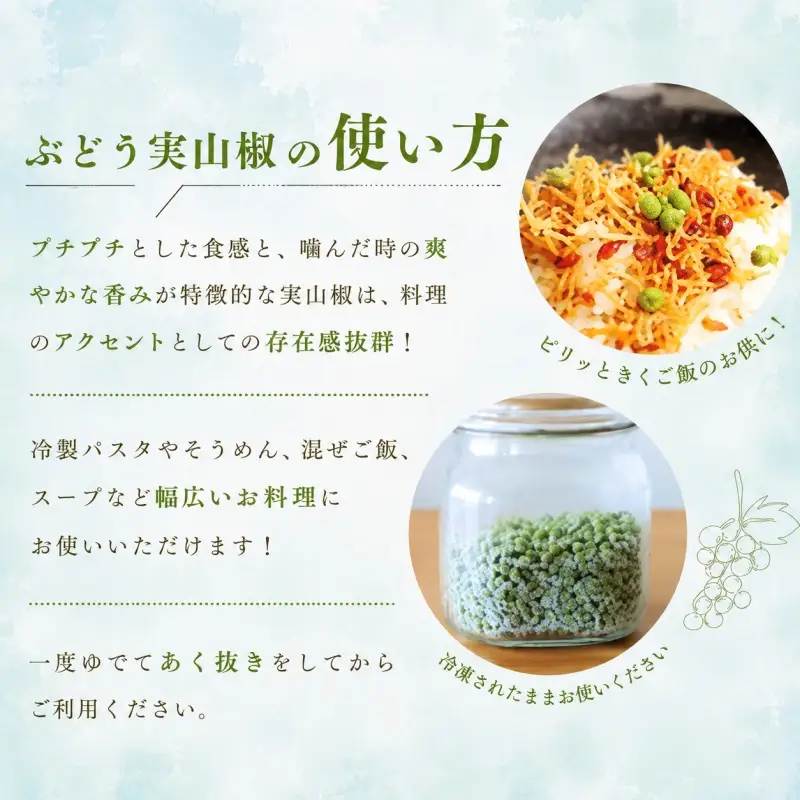  冷凍 ぶどう山椒 山椒 選べる容量 500g / 生山椒 生実山椒 さんしょう 香辛料 調味料 薬味 和歌山 紀美野【twn044-cbudo-500】