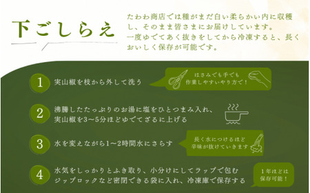 【先行予約】山椒 ぶどう生山椒 500g 2027年5月中旬から5月下旬にお届けいたします【twn044-budo-500A】