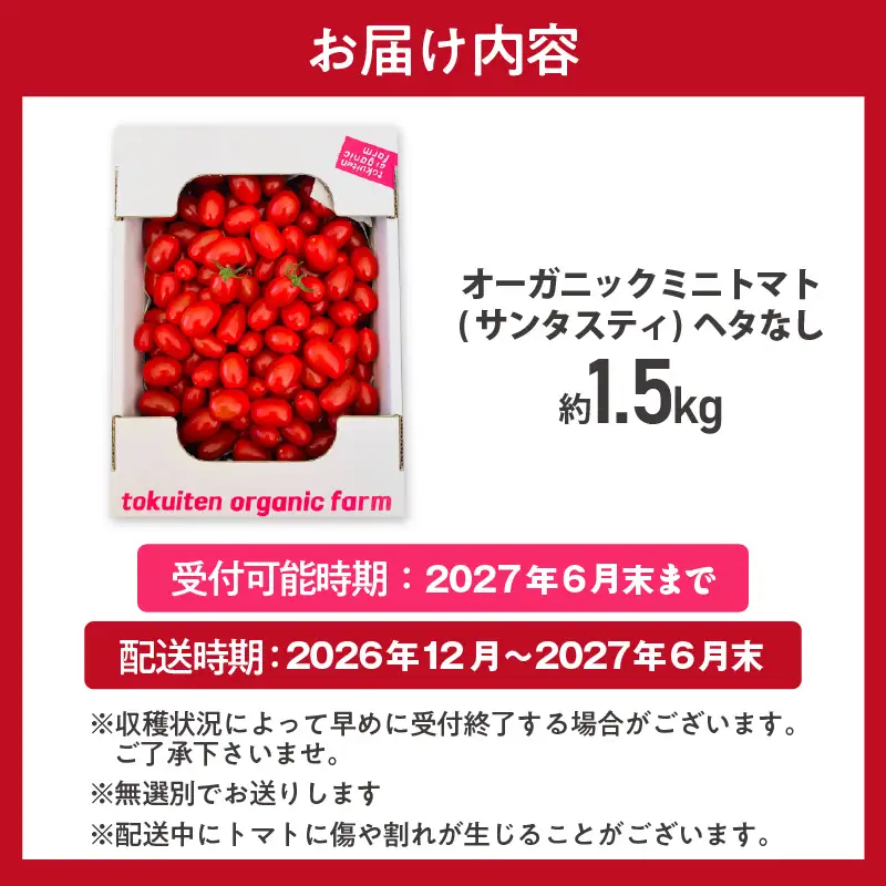 【先行予約】《2026年12月以降発送開始》オーガニックミニトマト（サンタスティ）約1.5kg｜野菜