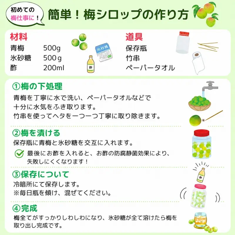 青梅 10kg 秀品 Mサイズ 以上 サイズおまかせ / 梅酒 梅ジュース 梅 和歌山 梅干し 梅シロップ 和歌山県産 ※2027年6月下旬～7月上旬に順次発送 ※北海道・沖縄・離島への配送不可【frt508-r-10B】