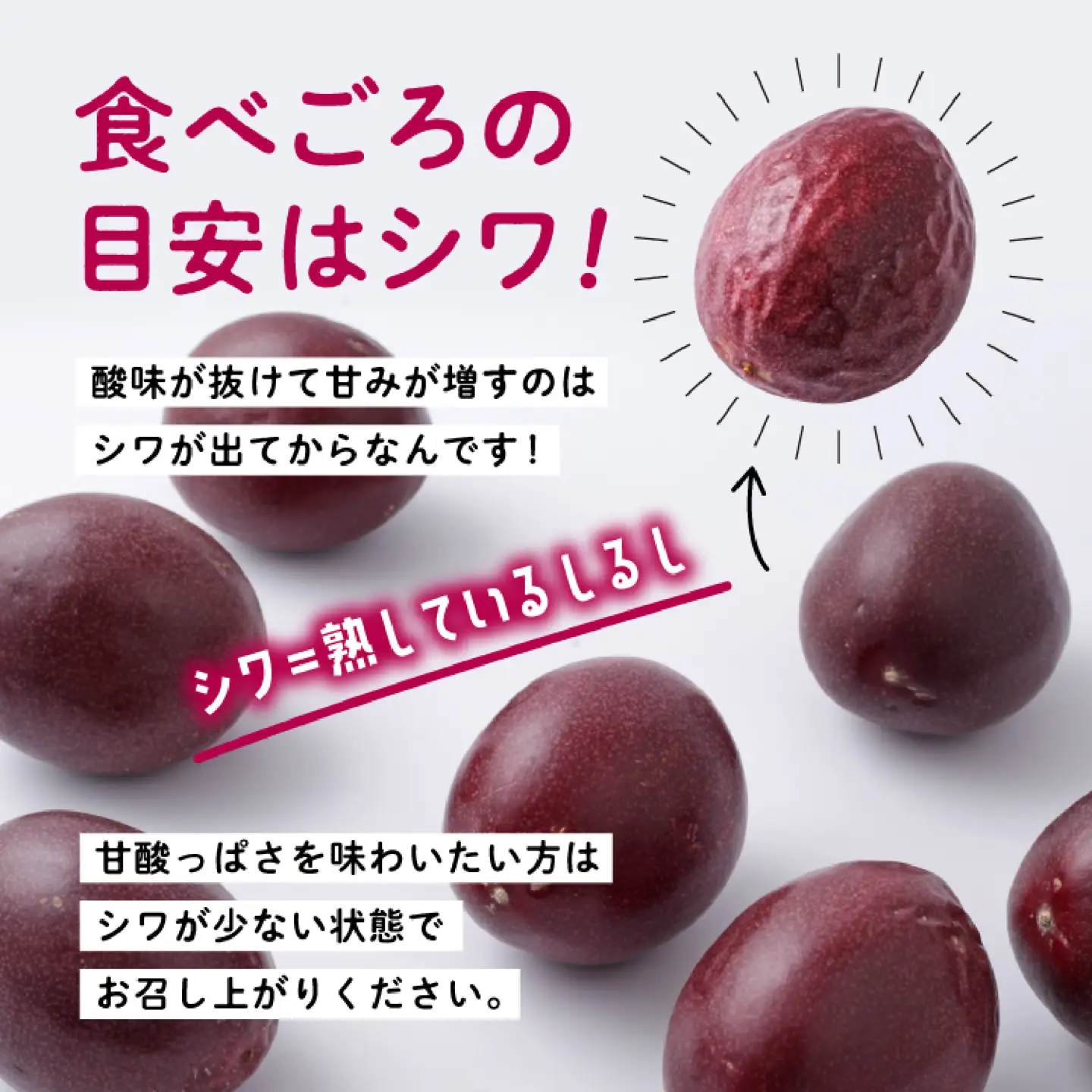 《令和8年産》 種子島産パッションフルーツ 2ケース ( 24個入り ) パッションフルーツ 果物 フルーツ 食品 グルメ お取り寄せ お中元 人気 おすすめ 返礼品 南種子町 鹿児島 かごしま 【有限会社新栄物産】