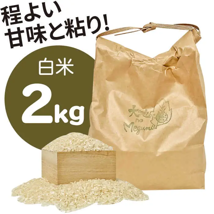 【6回定期便】直売所より発送！お米と季節の野菜セット 8品目 / 米 こめ 白米 野菜定期便 やさい定期便 野菜 やさい 旬 詰め合わせ / 南島原市 / ながさき南部生産組合 [SBW014]