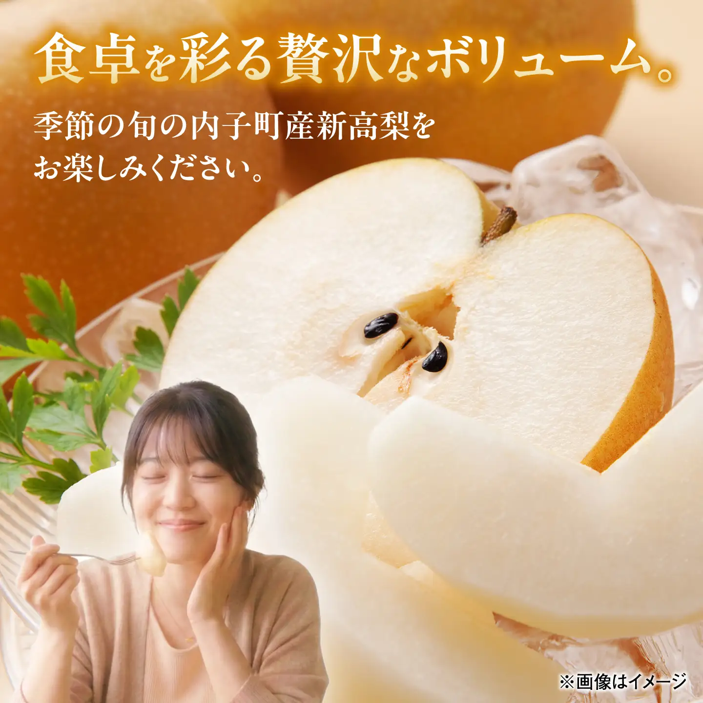 【先行予約】内子町産　新高梨【7-10玉】2026年9月下旬から発送 BKAY021 梨