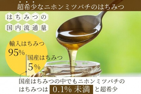 生はちみつ 130g×3個 二ホンミツバチの生はちみつ