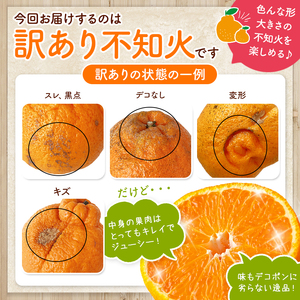【 ご家庭用 訳あり 】 不知火 10kg