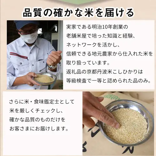 米 コシヒカリ 5kg 精米 白米