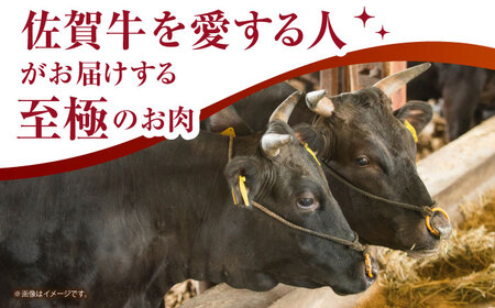 佐賀牛切り落とし 500ｇ×2パック HCS003 切り落とし 