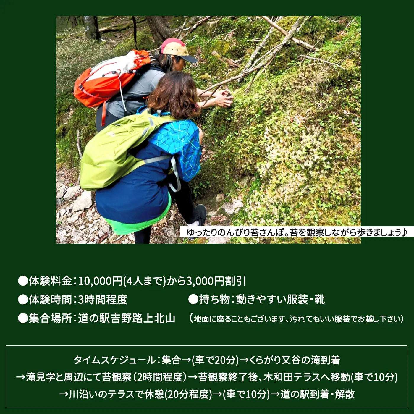 「マイナスイオンたっぷりの滝見学と苔観察」体験割引券（3,000円分）