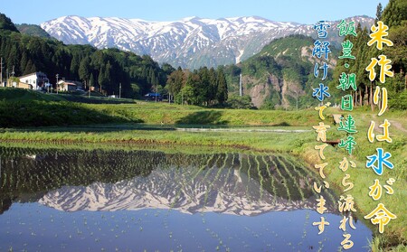 令和6年産　山形県小国町産　雪若丸・5kg