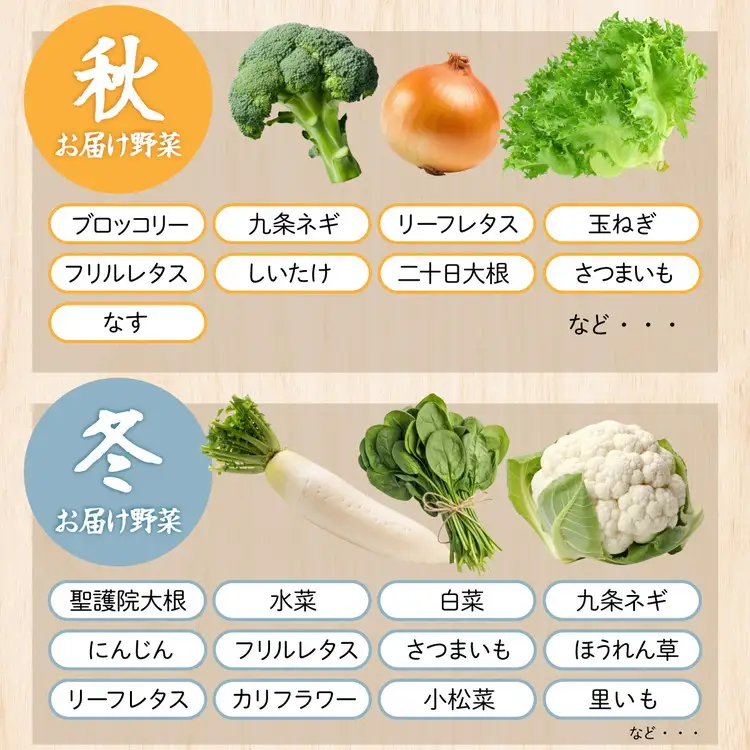 【6回定期便】旬の朝採れ 新鮮野菜セット 野菜 7～10品 