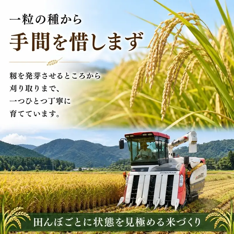 ひとめぼれ 10kg 単一原料米 白米 一等米 ひとめぼれ