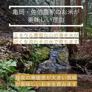  訳あり コシヒカリ 5kg ＆ 漬け物 3種 米・漬物セット 佐伯の里の源流米≪農家直送 新鮮野菜 家計応援 生活応援 京漬物 丹波 京野菜 野菜 漬物 詰め合わせ 大人気 人気 新米 国産 京都府産 京都産 丹波産 亀岡市産 亀岡 新白米 国産 精白米≫ ※北海道・沖縄・離島への配送不可