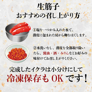 【朝どれ直送】筋子 生筋子 500g 令和8年産 いくら J51_05