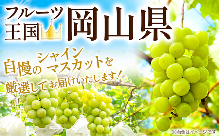 【ふるなびWEEK対象】厳選 シャインマスカット 約2kg ぶどう マスカット