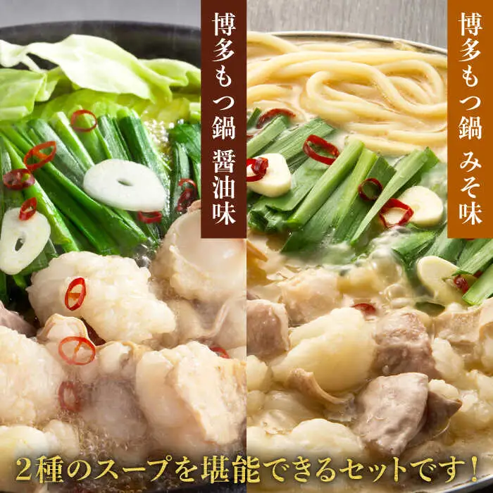 もつ鍋 博多の味本舗 味噌味＆醤油味 4-6人前 [ABCY008] もつ鍋