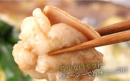 もつ鍋 博多の味本舗 醤油味＆博多水炊き 4-6人前 [ABCY020] もつ鍋