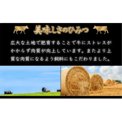 500g【佐賀牛】モモブロック（タタキ・ローストビーフ・焼肉等）C-589