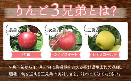 りんご「シナノスイート」3kg 長野県オリジナル品種｜JA信州うえだ東部地区営農課 東御市産 ※10月中旬～11月上旬頃お届け予定