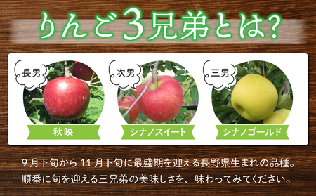 りんご「シナノゴールド」3kg 長野県オリジナル品種｜JA信州うえだ東部地区営農課 東御市産 ※10月下旬～11月下旬頃お届け予定