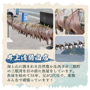 魚屋こだわりの活アジ開き MIK0001