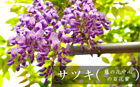 【令和8年産・数量限定】国産 非加熱 純粋はちみつ 600g×3種類（アカシア蜜・サツキ蜜・アカメガシワ蜜）食べ比べセット 蜂蜜[Y0452]