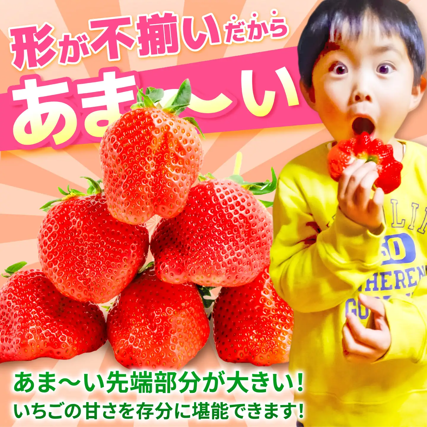12月から4月発送 いちごさん 約800g いちご 苺[FDF001]
