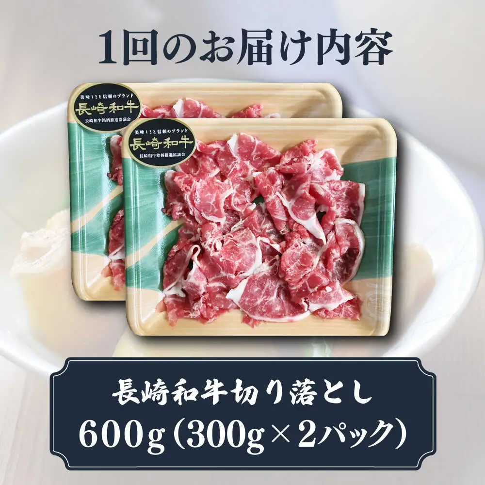 2回定期便 長崎和牛 牛肉切り落とし (300g×2)  [DBL022] 牛肉定期便