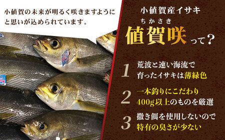 【2回定期便】【高級魚】ブランド魚 値賀咲 （ちかさき） うまかドン10パック イサキ漬け丼  ＜古民家レストラン 敬承 藤松＞ [DAK014] イサキ いさき 海鮮 鮮魚 無添加 贅沢 冷凍 簡単調理 時短 丼