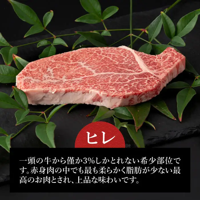 【12回定期便】長崎和牛お楽しみコース 牛肉定期便 [DBK033] 牛肉定期便
