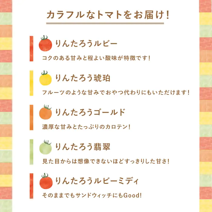 おまかせMIX カラフルミニトマト 約1.2kg [DAE002] ミニトマト
