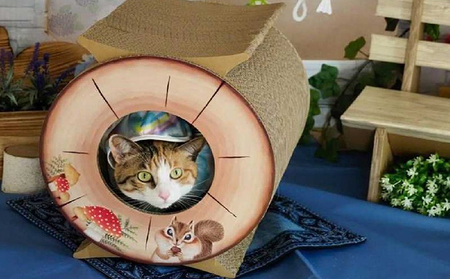 猫の爪とぎ　丸太（ショート・トンネルタイプ）｜猫 ねこ ネコ キャット cat 爪とぎ ダンボール 段ボール 写真映え トンネル 通り抜け 木 丈夫 日本製 国産 おもちゃ ペット インテリア 愛猫 動物 猫用品 猫用玩具 グッズ 愛猫へプレゼント ペット用品 愛知県 常滑市