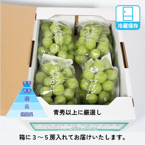 シャインマスカット 約2kg 青秀以上 | ぶどう マスカット【OS011】